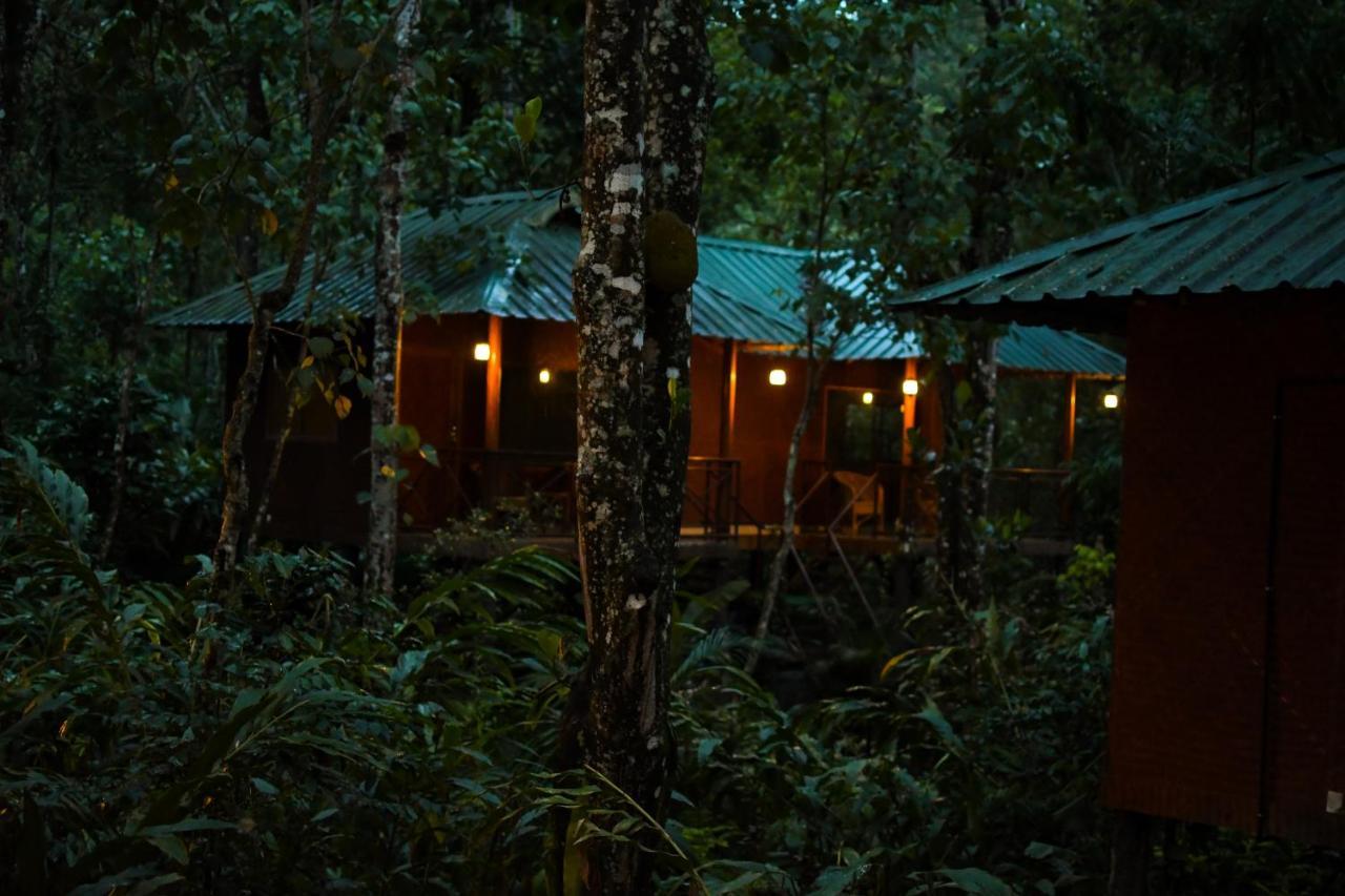 Monsoon Retreats Ecostay- Treehouse Thekkady Εξωτερικό φωτογραφία