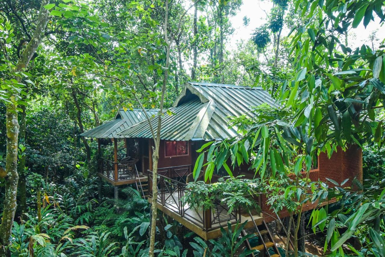 Monsoon Retreats Ecostay- Treehouse Thekkady Εξωτερικό φωτογραφία