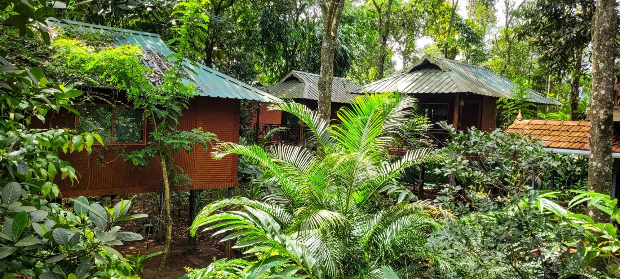 Monsoon Retreats Ecostay- Treehouse Thekkady Εξωτερικό φωτογραφία