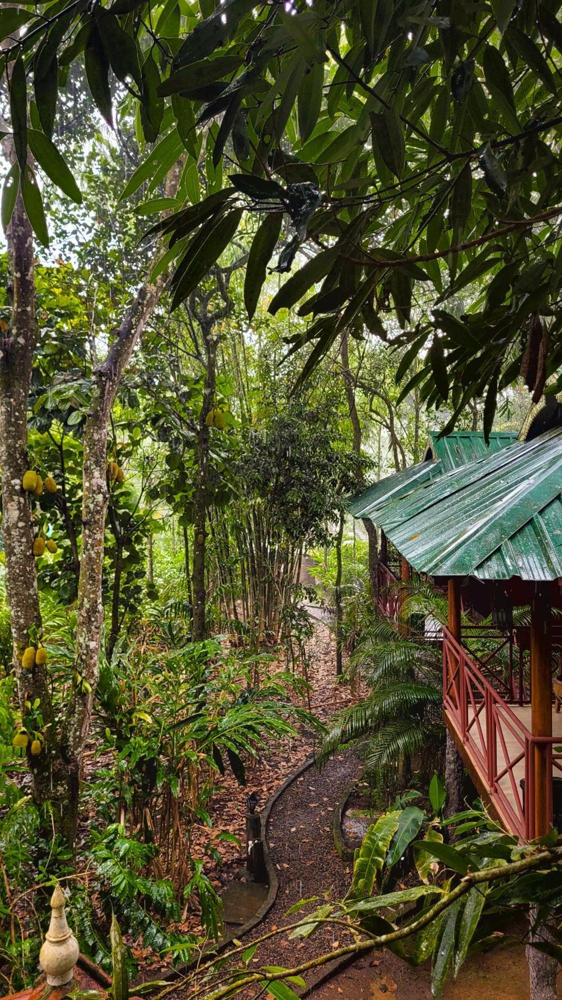 Monsoon Retreats Ecostay- Treehouse Thekkady Εξωτερικό φωτογραφία