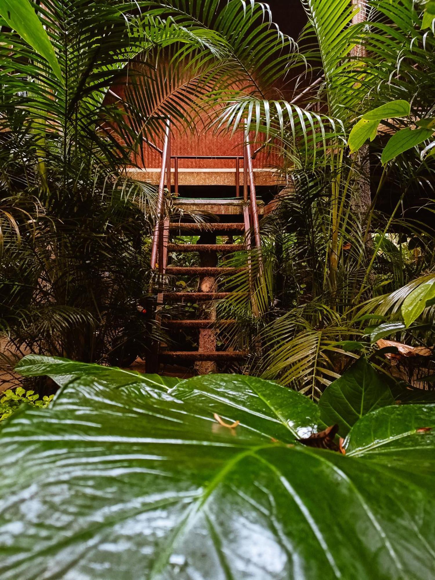 Monsoon Retreats Ecostay- Treehouse Thekkady Δωμάτιο φωτογραφία