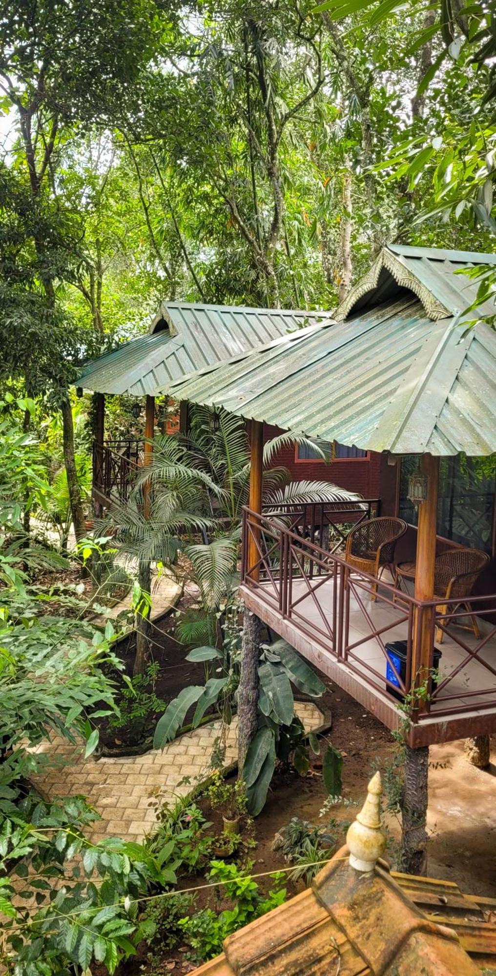 Monsoon Retreats Ecostay- Treehouse Thekkady Εξωτερικό φωτογραφία