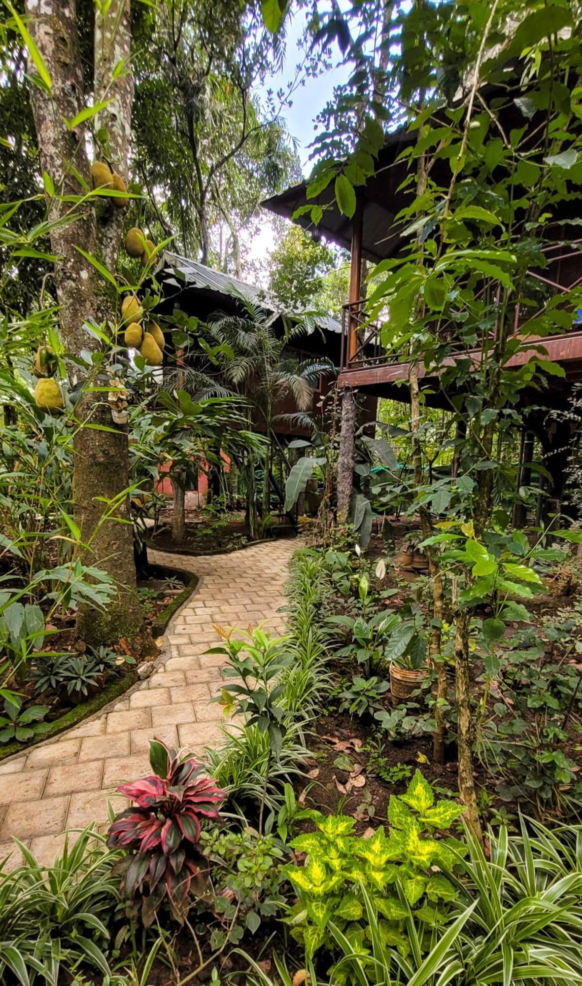 Monsoon Retreats Ecostay- Treehouse Thekkady Εξωτερικό φωτογραφία