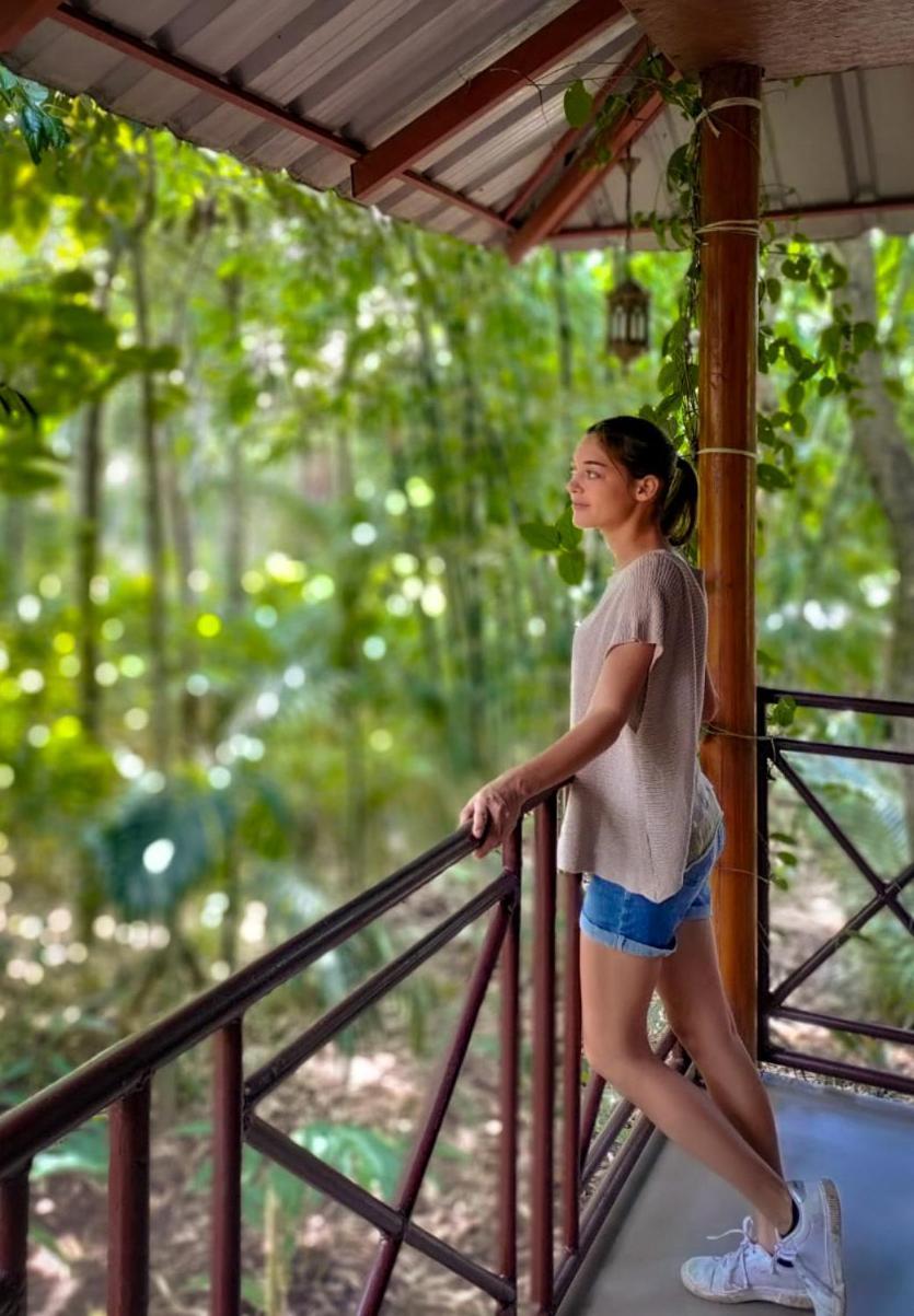 Monsoon Retreats Ecostay- Treehouse Thekkady Εξωτερικό φωτογραφία