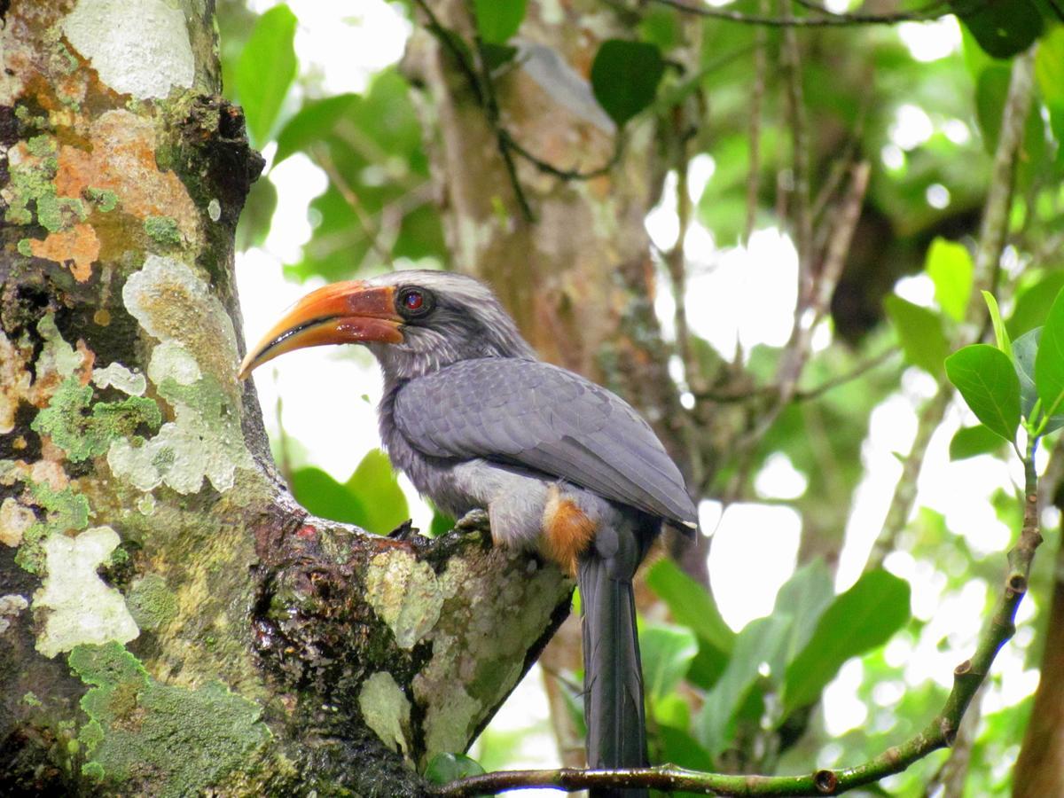 Monsoon Retreats Ecostay- Treehouse Thekkady Εξωτερικό φωτογραφία
