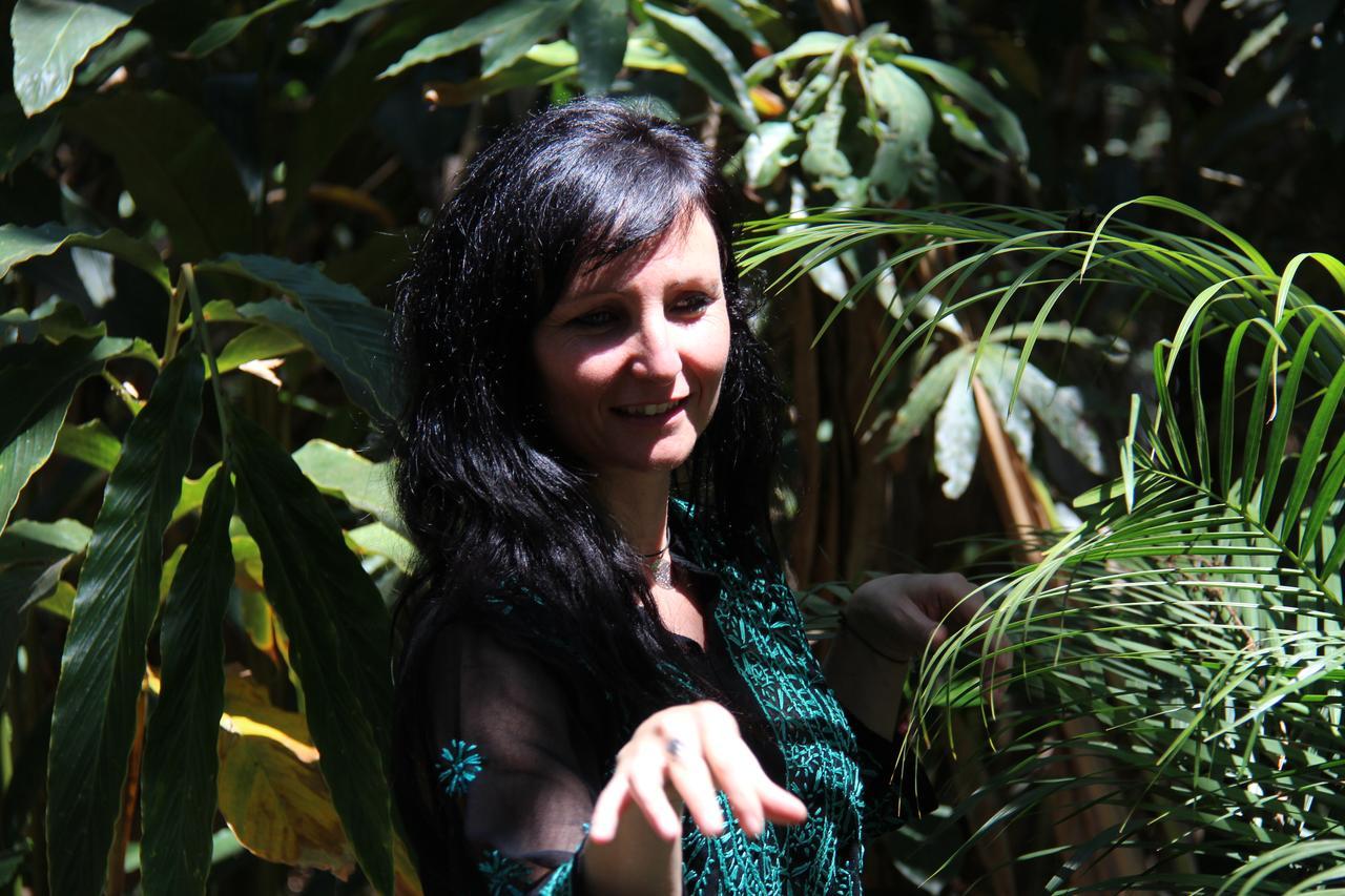 Monsoon Retreats Ecostay- Treehouse Thekkady Εξωτερικό φωτογραφία