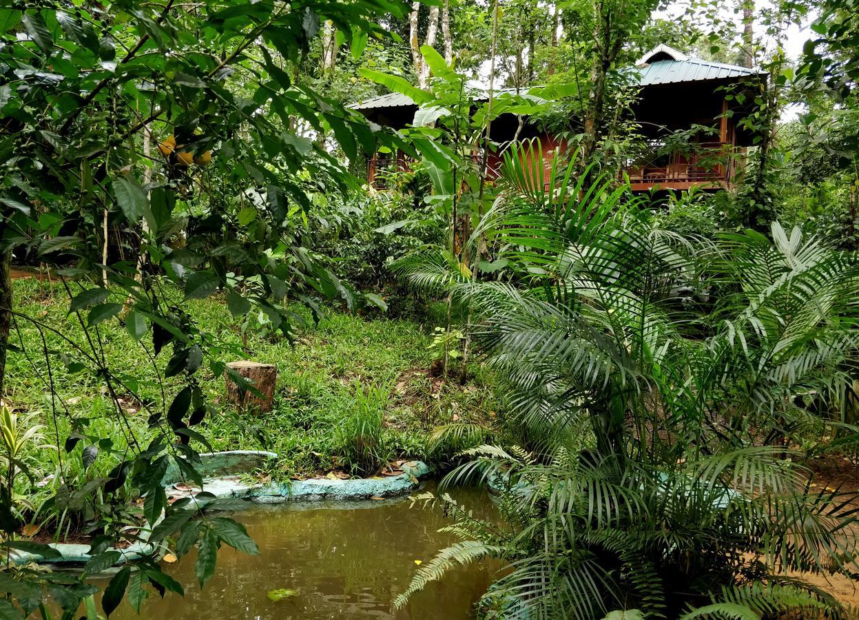 Monsoon Retreats Ecostay- Treehouse Thekkady Εξωτερικό φωτογραφία