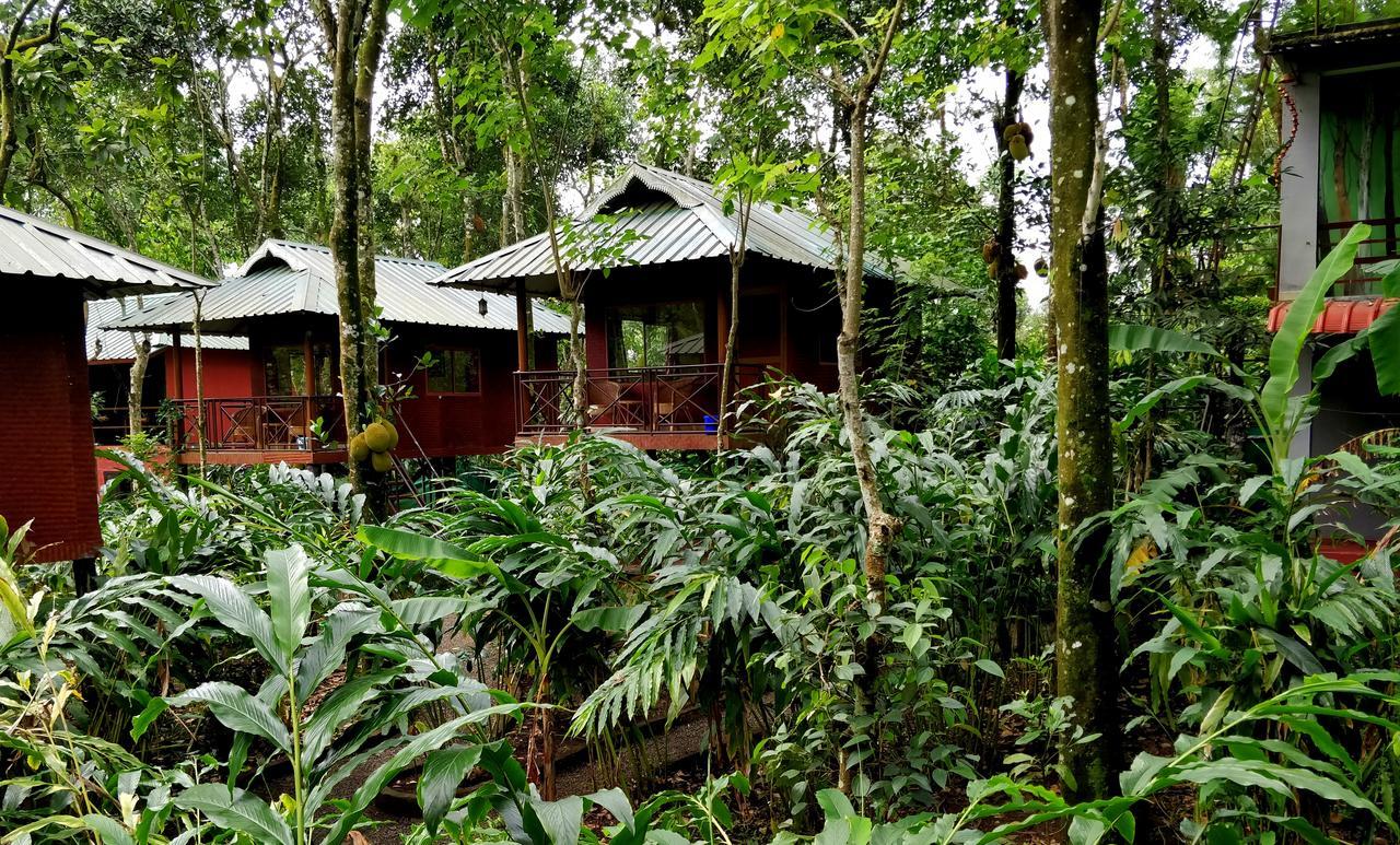 Monsoon Retreats Ecostay- Treehouse Thekkady Εξωτερικό φωτογραφία