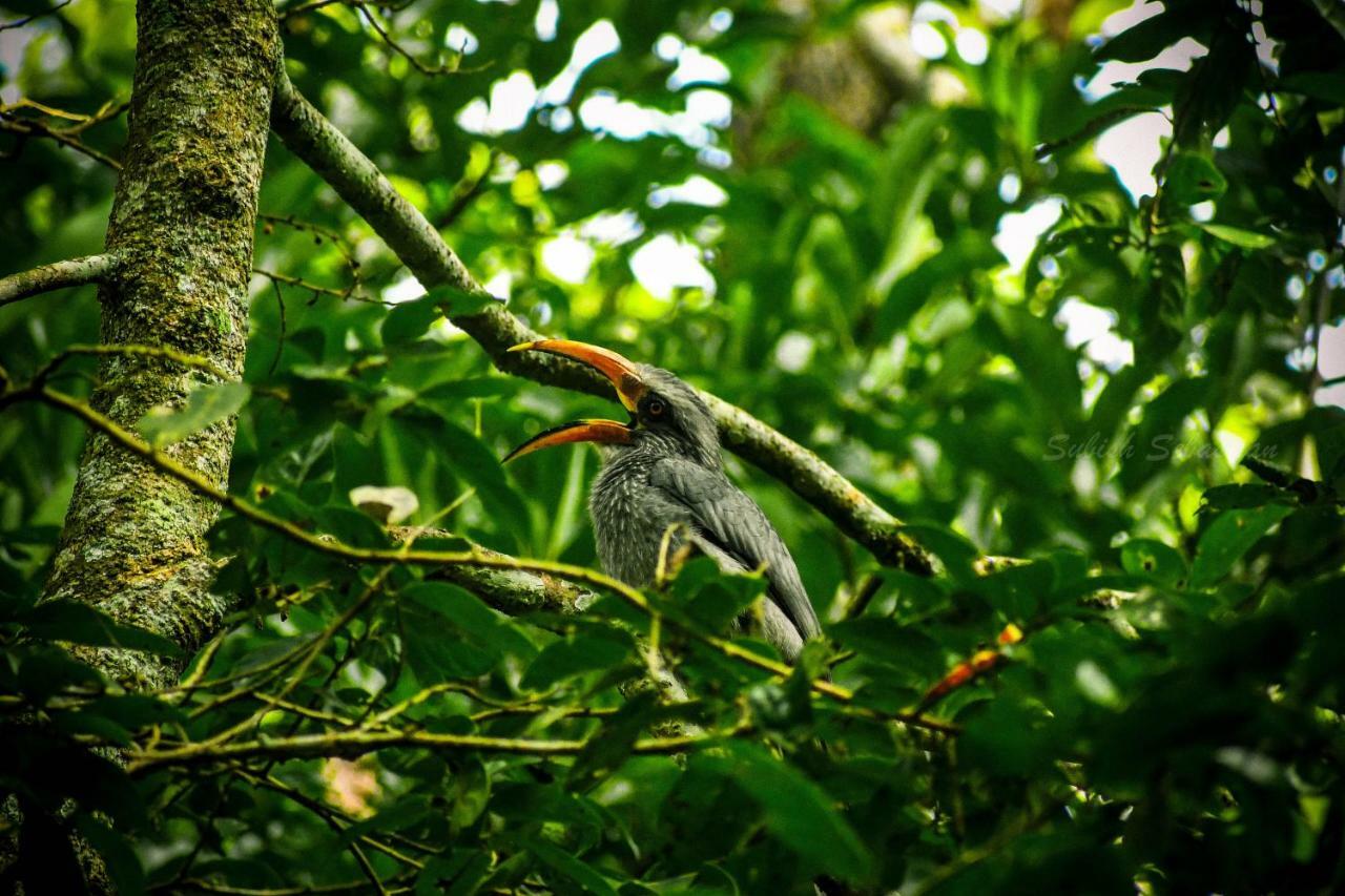 Monsoon Retreats Ecostay- Treehouse Thekkady Εξωτερικό φωτογραφία