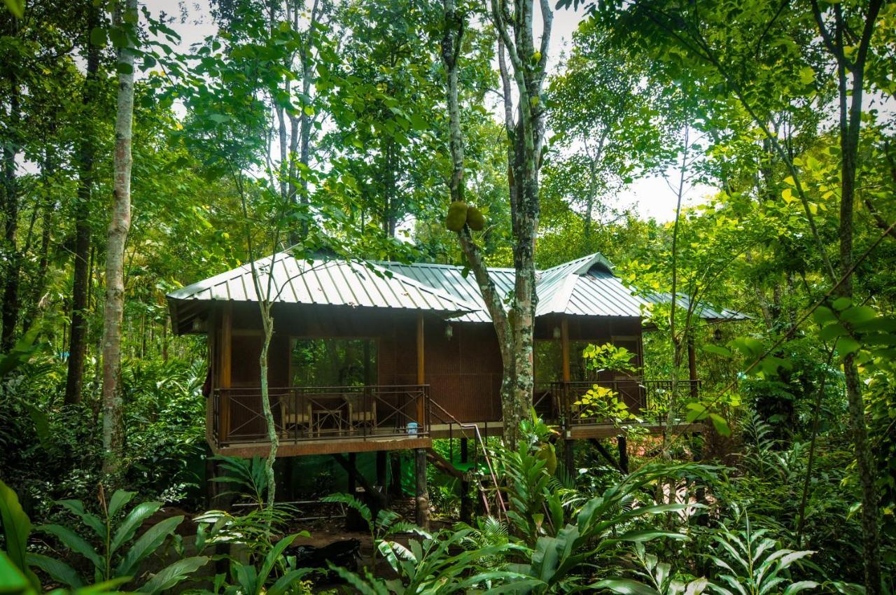 Monsoon Retreats Ecostay- Treehouse Thekkady Εξωτερικό φωτογραφία