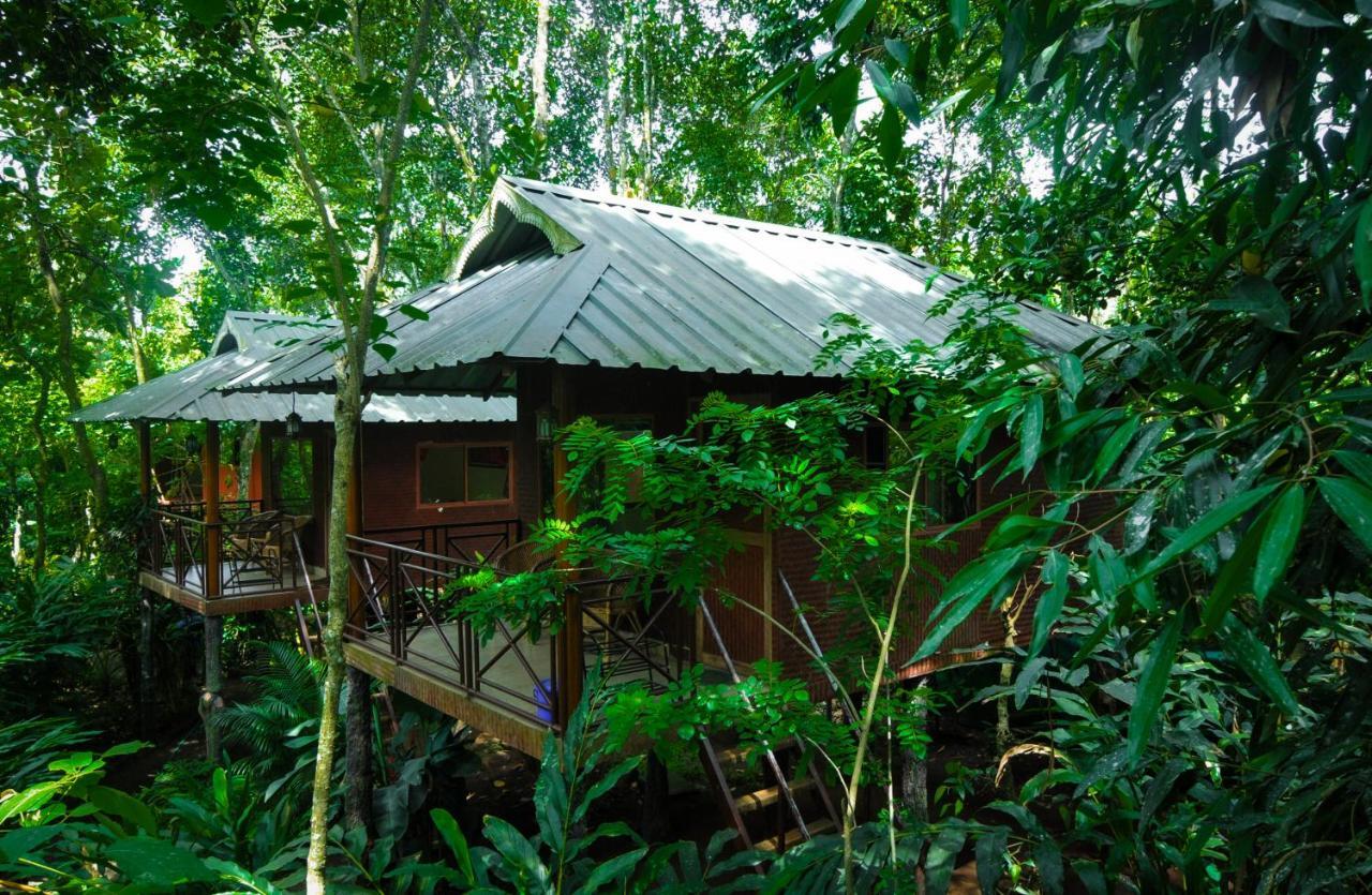 Monsoon Retreats Ecostay- Treehouse Thekkady Εξωτερικό φωτογραφία