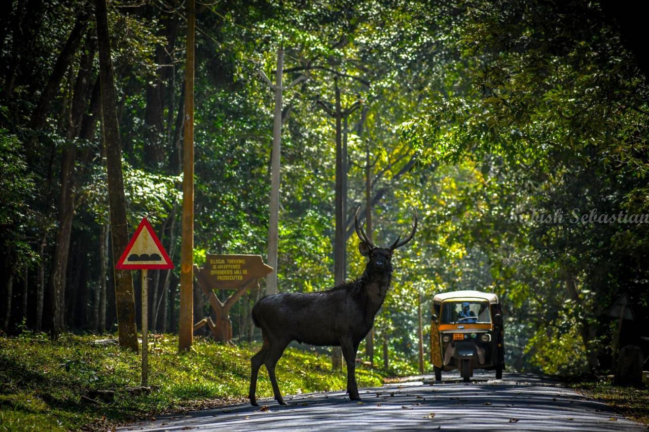 Monsoon Retreats Ecostay- Treehouse Thekkady Εξωτερικό φωτογραφία
